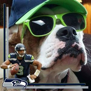 Meet your Posher, Leslie